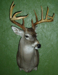 WIATREK