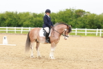 SBM_005945