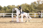SBM_000722