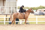 SBM_16423