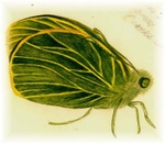 S17
