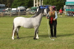 SBM_00452