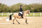 SBM_007311
