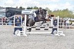 BPP_5031