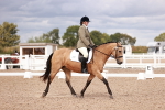 SBM_06323