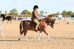SBM_08147