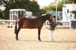 SBM_08179
