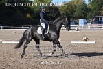 BPP_8742