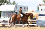SBM_13434