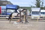 BPP_5234