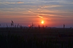 Hortobágy National Park, Hajdú-Bihar county, Hungary