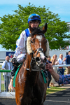 020526-Race 4-Scottish Dancer-9800