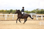 SBM_007249