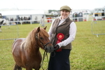 Class 46: NPS Shetland Youngstock portfolio