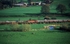 10th April 2005