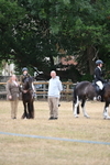 WJ6_8979
