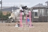 BPP_5485