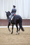 SBM_009523