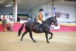 SBM_09509