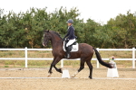 SBM_003294