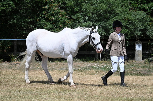 WJ7_2162