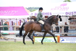 SBM_11389