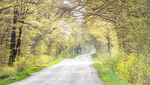 BACKROAD, APRIL 2017 - NORFOLK COUNTY