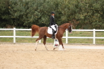 SBM_02084