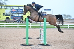 Cls 15 National 1.30m and 1.40m portfolio