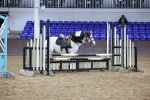 SBM_004779