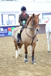 SBM_003693
