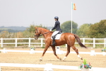 SBM_006313