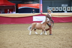 SBM_16074
