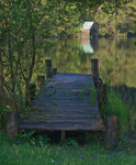 The Jetty
