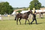 SBM_10364
