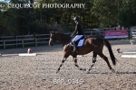 BPP_9346