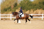 SBM_017960