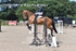 BPP_5583