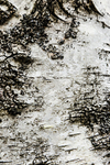 Abstract portfolio