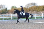 SBM_003339