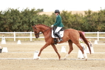 SBM_003393