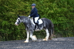 WJ5_9075