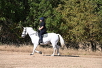 WJ6_7007