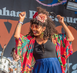 Wychwood 2018 portfolio