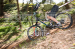 MTB 2017  Downhill Race-2-31