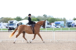 SBM_11190