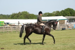 SBM_09568