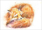 Snoozing Fox Fine Art Print 636