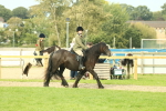 SBM_69346