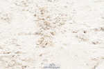 250420A-114830-00631